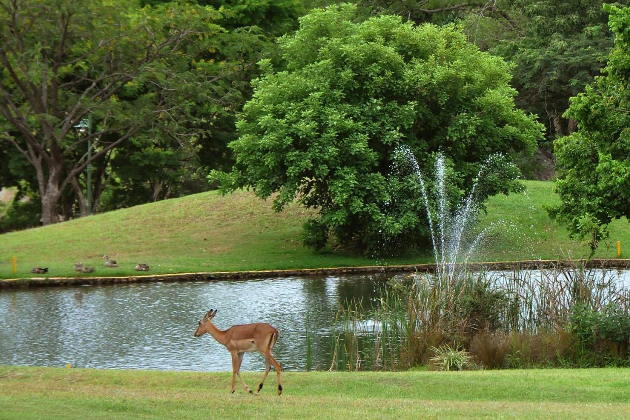 Kruger Park Lodge Unit No. 608B Hazyview Extérieur photo